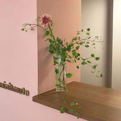 开元体育官网最新版