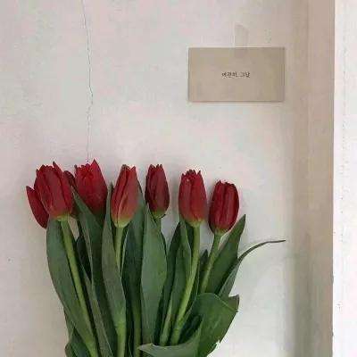 manbet下载地址截图